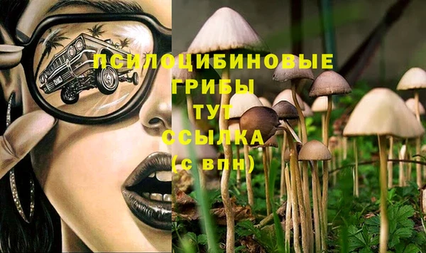 марихуана Богородицк