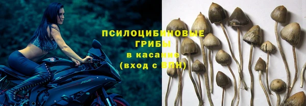 мдпв Беломорск