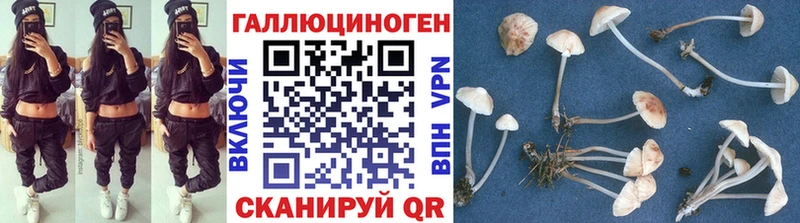 Псилоцибиновые грибы прущие грибы  Купить где  Бутурлиновка 